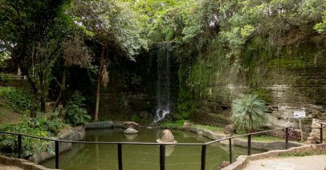 PARQUE DO VARVITO